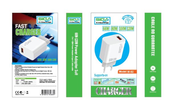 Fast Charger 66/120W